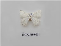 藏品(尺蛾39)的圖片